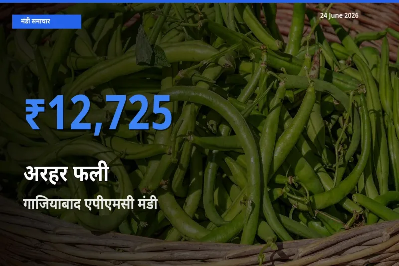 किसानों की पसंद बना गाजियाबाद एपीएमसी, अरहर फली के सबसे अच्छे दाम