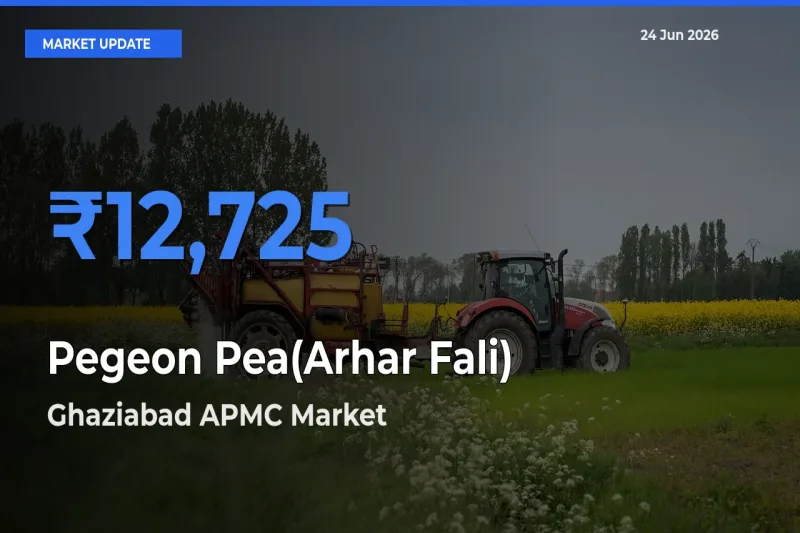 Ghaziabad APMC Emerges as Top Mandi for Pegeon Pea(Arhar Fali) Prices Today