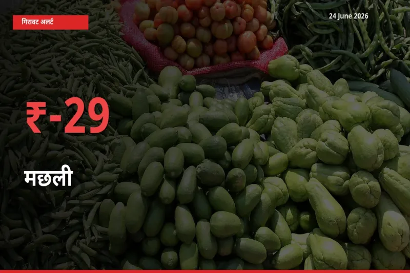 स्थानीय मंडी में मछली के दाम अचानक 29.42% गिरे, किसानों की चिंता बढ़ी