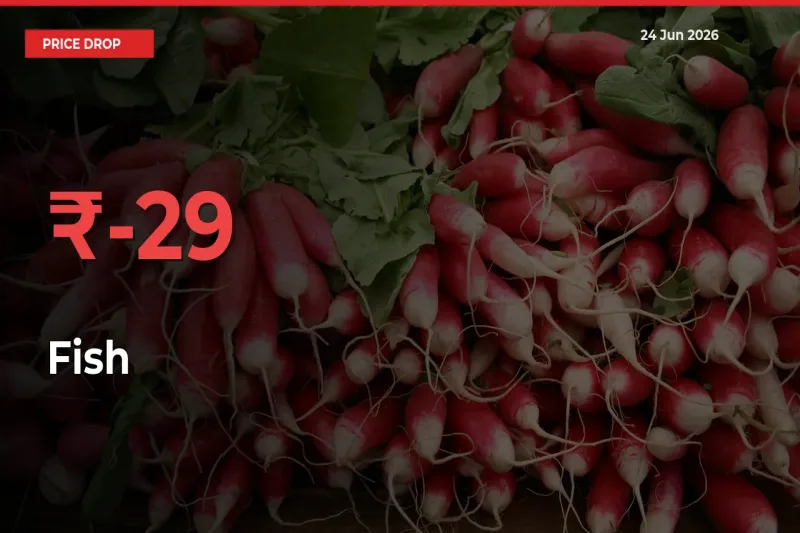 Fish Mandi Rate Today: Prices Fall 29.42% at Market