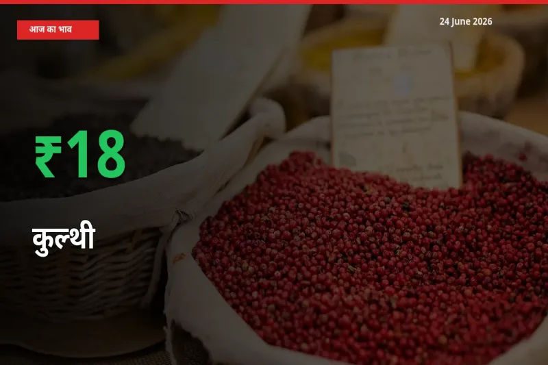 कुल्थी 17.86% उछला, मंडी