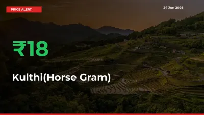 Kulthi(Horse Gram) Mandi Rate Today: Prices Jump 17.86% at Market