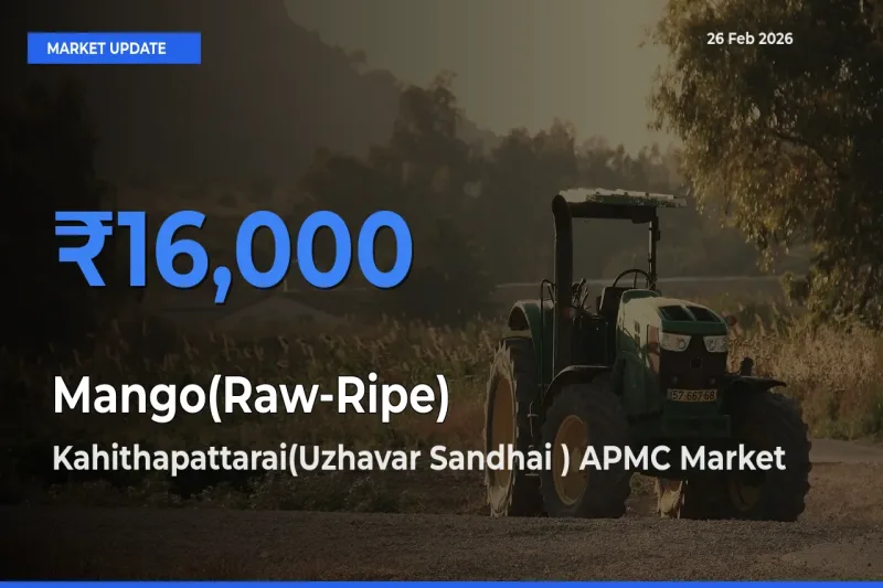 Market Watch: Kahithapattarai(Uzhavar Sandhai ) APMC Becomes Top Mandi for Mango(Raw-Ripe)