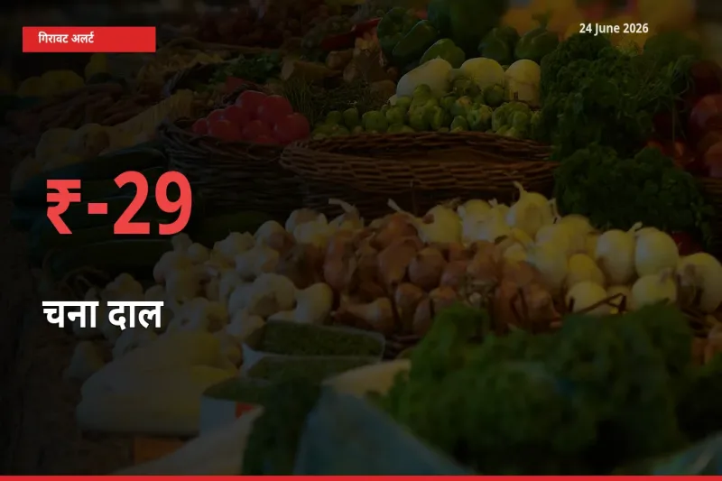 आज का मंडी भाव: चना दाल के दाम मंडी में 28.51% नीचे