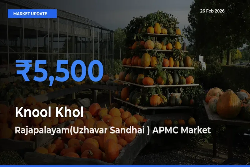 Rajapalayam(Uzhavar Sandhai ) APMC Offers ₹5,500 – Highest Knool Khol Rate Today