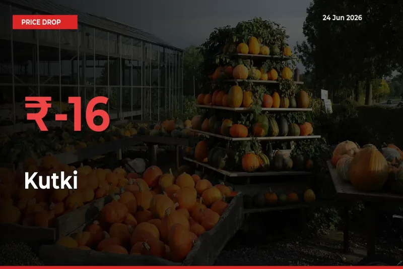 Kutki Prices Drop 16.23% – June 24 Market Update from Mandis