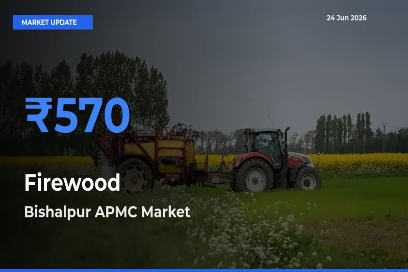 Market Watch: Bishalpur APMC Becomes Top Mandi for Firewood