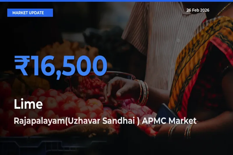 Rajapalayam(Uzhavar Sandhai ) APMC Emerges as Top Mandi for Lime Prices Today