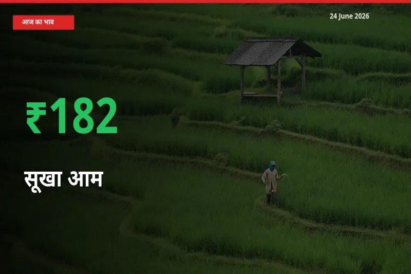 बाज़ार संकेत: सूखा आम के भाव मंडी में 182.1% ऊपर
