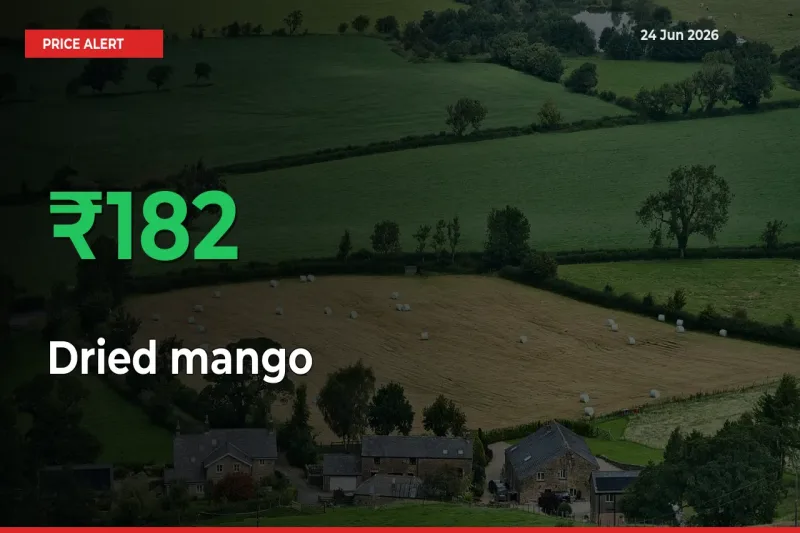 Dried mango Prices Rise 182.1% in a Day at Major Mandis