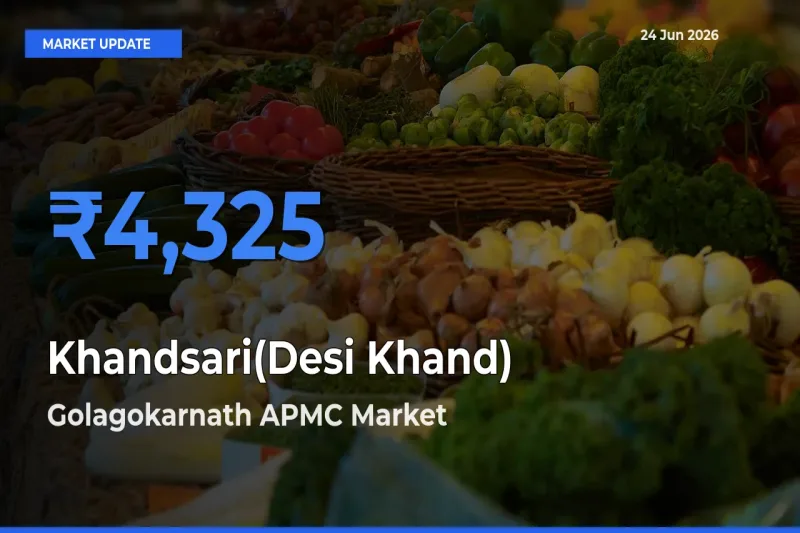 Khandsari(Desi Khand) Mandi Rate Today: Golagokarnath APMC Tops the List