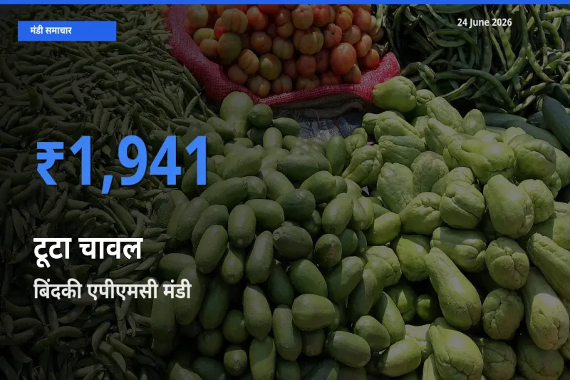 बिंदकी एपीएमसी मंडी में टूटा चावल ₹1,941 पर पहुँचा – आज का सर्वोच्च भाव