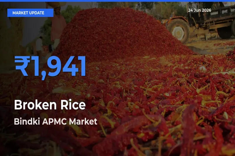 Bindki APMC Tops Broken Rice Rates – June 24 Market Update