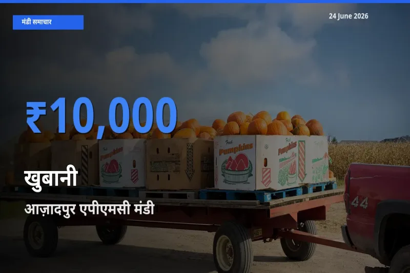 आज़ादपुर एपीएमसी मंडी में खुबानी ₹10,000 पर पहुँचा – आज का सर्वोच्च भाव