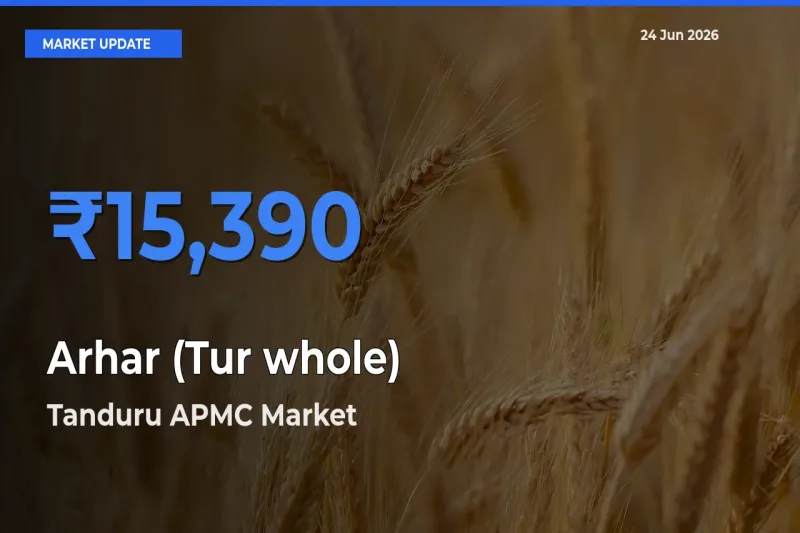 Tanduru APMC Records Highest ₹15,390 Rate for Arhar (Tur whole)