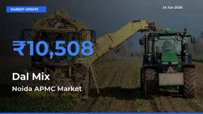 Market Watch: Noida APMC Becomes Top Mandi for Dal Mix