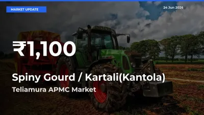 Spiny Gourd / Kartali(Kantola)
 Falls to ₹1,100 in Teliamura APMC – 30-Day Lowest Rate