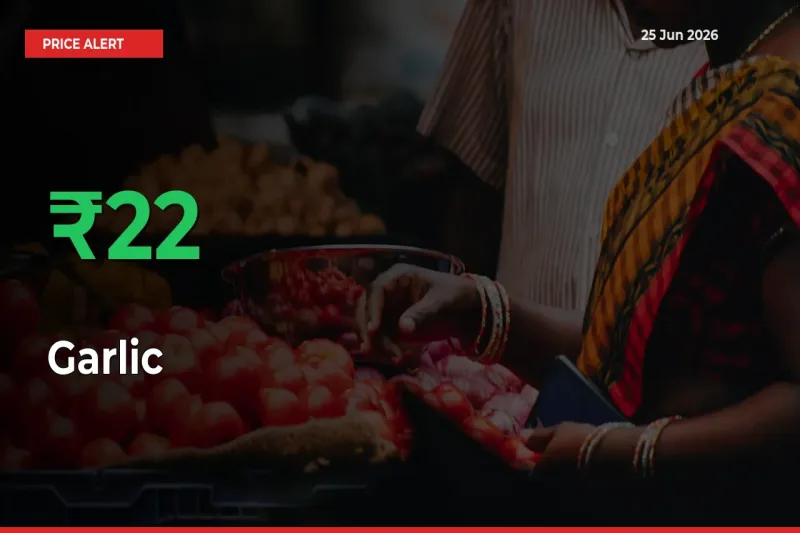 Why Garlic Prices Rose 22.42% in a Day at Mandis