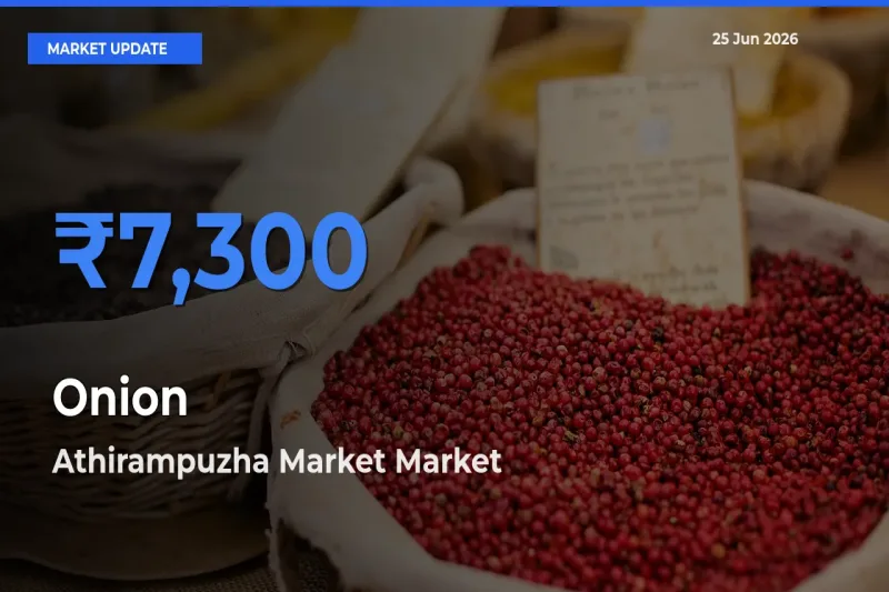 Farmers Prefer Athirampuzha Market as Onion Hits Highest Rate
