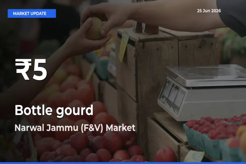 Bottle gourd Falls to ₹5 in Narwal Jammu (F&V) – 30-Day Lowest Rate