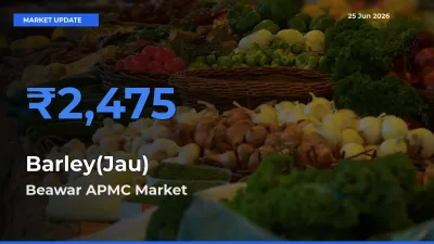 Beawar APMC Offers ₹2,475 – Highest Barley(Jau) Rate Today