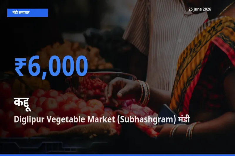 Diglipur Vegetable Market (Subhashgram) मंडी में कद्दू ₹6,000 पर पहुँचा – आज का सर्वोच्च भाव