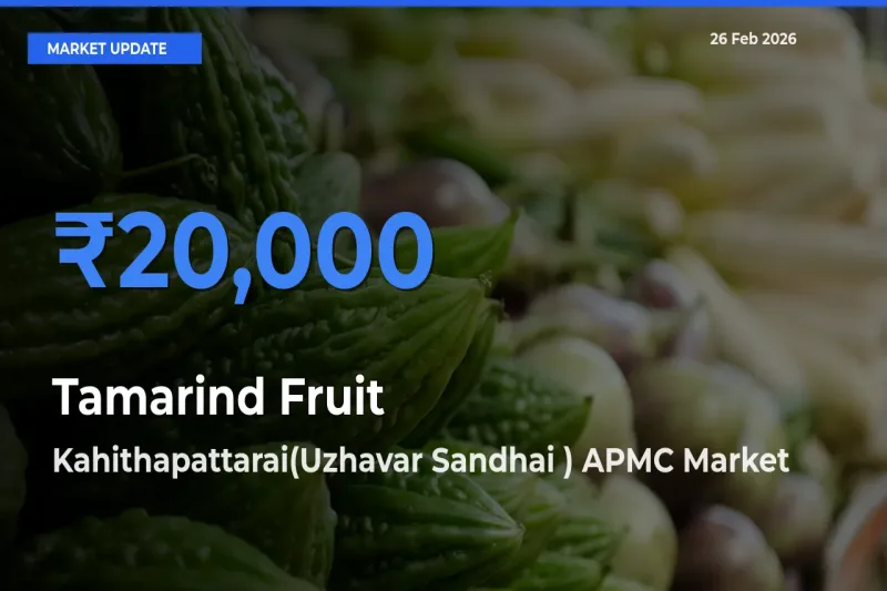 Kahithapattarai(Uzhavar Sandhai ) APMC Offers ₹20,000 – Highest Tamarind Fruit Rate Today