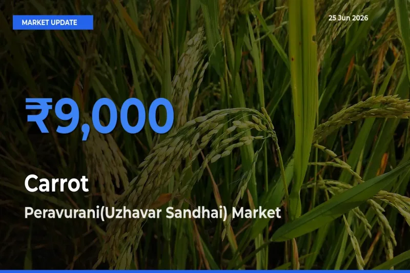 Peravurani(Uzhavar Sandhai) Tops Carrot Mandi Rates Today