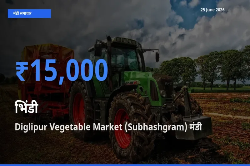 बाज़ार संकेत: Diglipur Vegetable Market (Subhashgram) बना भिंडी के लिए आज की टॉप मंडी