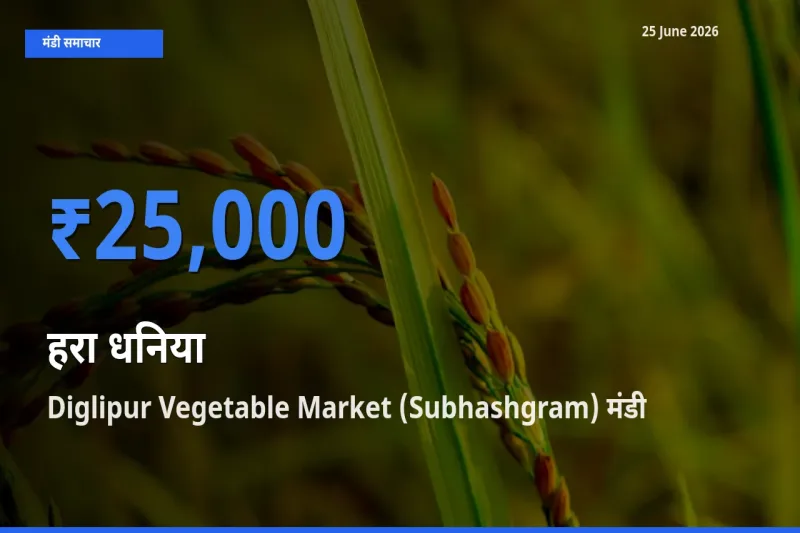 आज का मंडी भाव: हरा धनिया के सबसे ज़्यादा दाम Diglipur Vegetable Market (Subhashgram) में