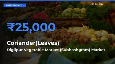 Market Watch: Diglipur Vegetable Market (Subhashgram) Becomes Top Mandi for Coriander(Leaves)