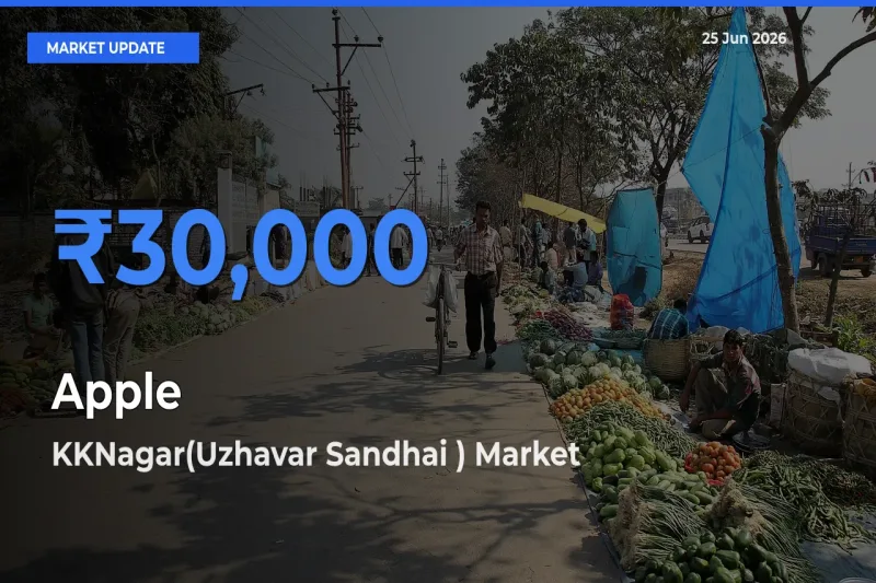 KKNagar(Uzhavar Sandhai ) Offers ₹30,000 – Highest Apple Rate Today