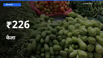 केला का ट्रेंड कई मंडियों में साफ