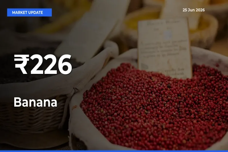 Why Banana Prices Are Moving Across Multiple Mandis Today