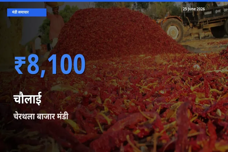 आज चौलाई के सबसे ज़्यादा दाम चेरथला बाजार मंडी में दर्ज