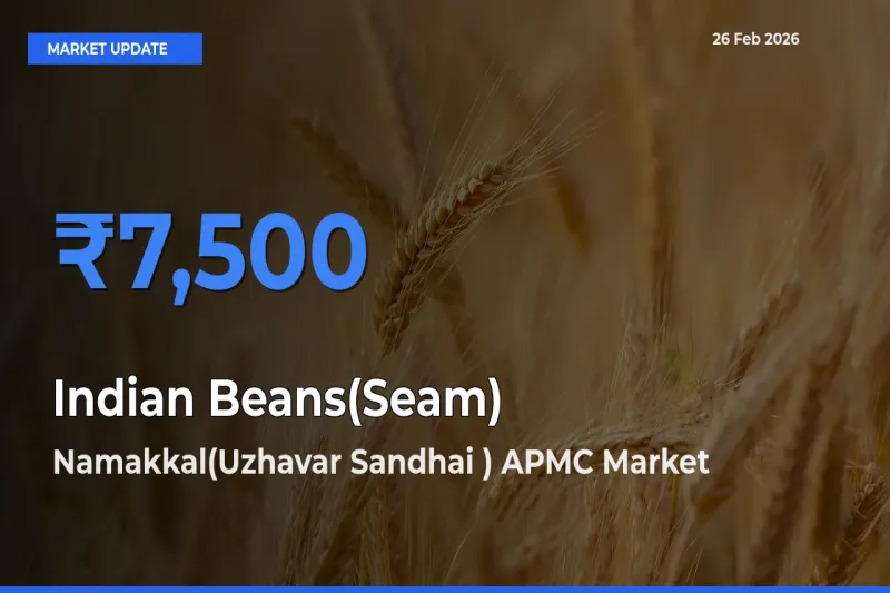 Market Watch: Namakkal(Uzhavar Sandhai ) APMC Becomes Top Mandi for Indian Beans(Seam)