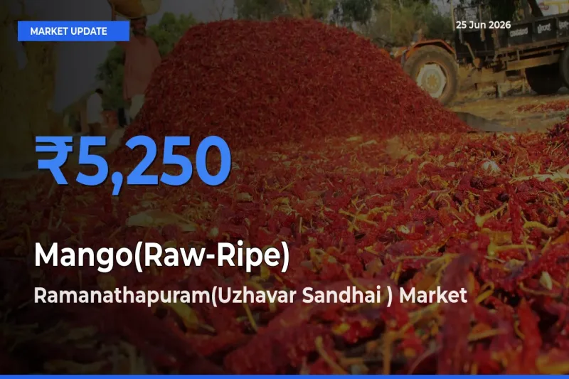 Ramanathapuram(Uzhavar Sandhai ) Leads as Top Mandi for Mango(Raw-Ripe) Prices