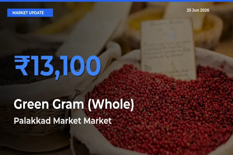 Palakkad Market Tops Green Gram (Whole) Mandi Rates Today