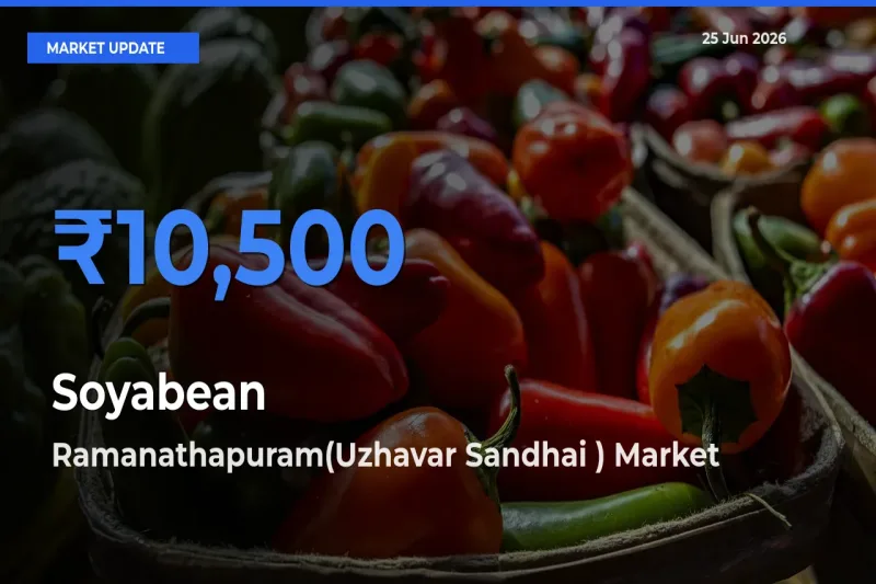 Farmers Prefer Ramanathapuram(Uzhavar Sandhai ) as Soyabean Hits Highest Rate