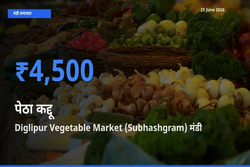 Diglipur Vegetable Market (Subhashgram) मंडी में पेठा कद्दू ₹4,500 पर पहुँचा – आज का सर्वोच्च भाव