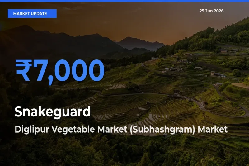 Diglipur Vegetable Market (Subhashgram) Tops Snakeguard Rates – June 25 Market Update