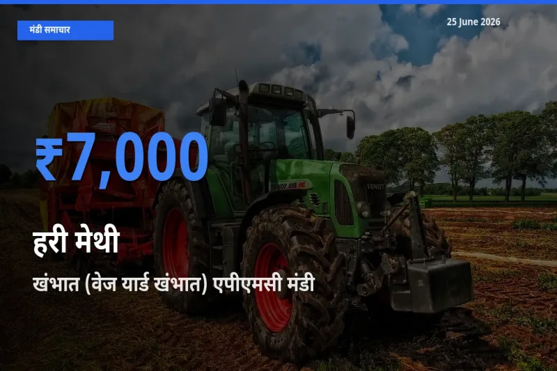आज हरी मेथी के सबसे ज़्यादा दाम खंभात (वेज यार्ड खंभात) एपीएमसी मंडी में दर्ज
