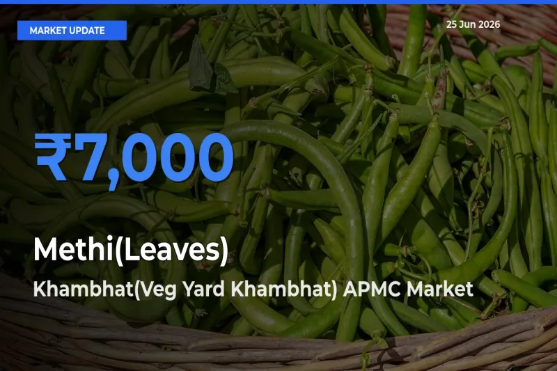 Khambhat(Veg Yard Khambhat) APMC Tops Methi(Leaves) Rates – June 25 Market Update