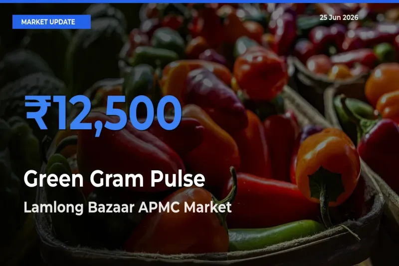 Market Watch: Lamlong Bazaar APMC Becomes Top Mandi for Green Gram Pulse