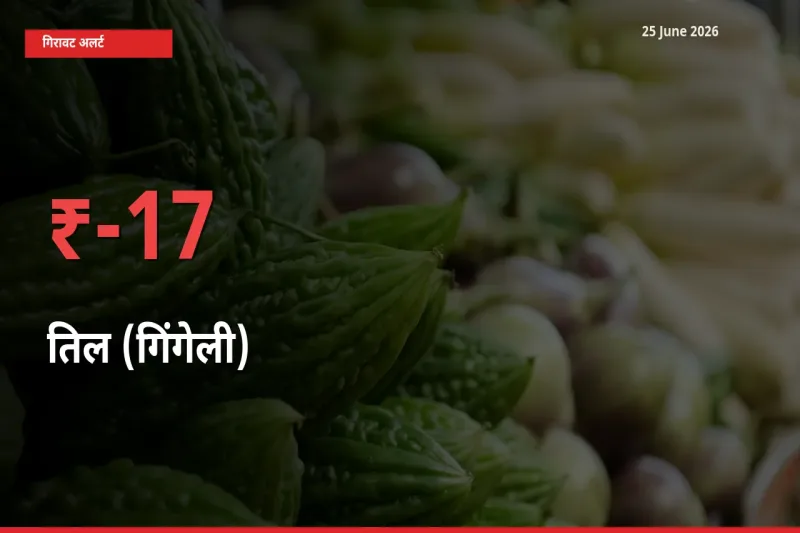 तिल (गिंगेली) के दाम प्रमुख मंडी में 17.02% गिरे, 24 घंटे में बड़ा बदलाव