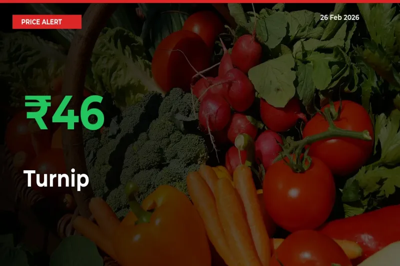 This Mandi Records 45.66% Jump in Turnip Prices