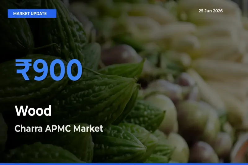 Charra APMC Offers ₹900 – Highest Wood Rate Today