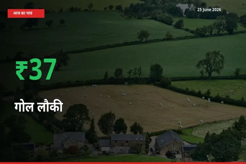 गोल लौकी के दाम प्रमुख मंडी में 37.02% बढ़े, 24 घंटे में बड़ा बदलाव