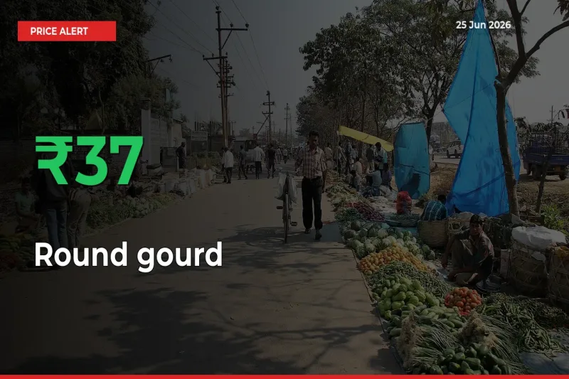 Round gourd Rises 37.02% at Mandis