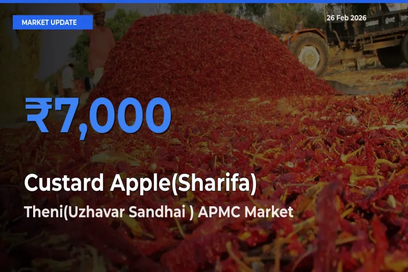 Theni(Uzhavar Sandhai ) APMC Tops Custard Apple(Sharifa) Mandi Rates Today